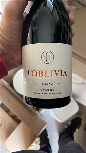 Languedoc Faugères Famille Crabbert Loblivia 2020