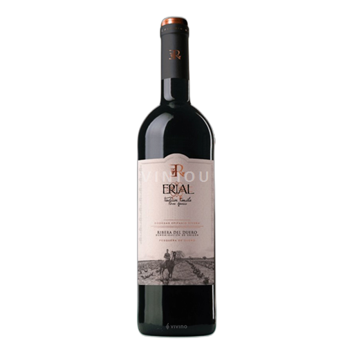 Castela e Leão Ribera del Duero Bodegas Epifanio Rivera Erial 2023