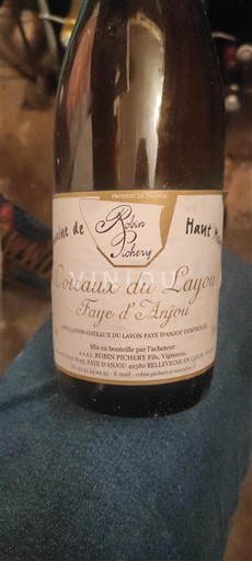 Loire Valley Not Specified Domaine Robin Pichery Haut de Faye Non-Vintage
