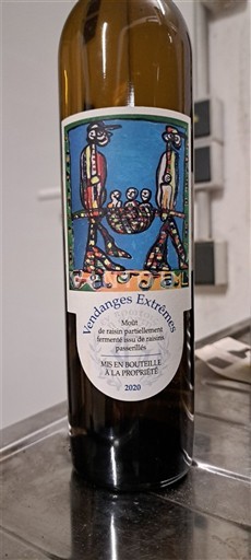 Jura Macvin-du-Jura Vendanges Extrêmes 2020