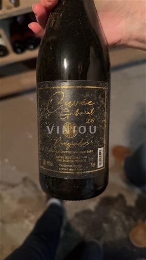 Bordeaux Saint-Émilion Grand Cru Grand Cru Domaine Pourret Gabriel 2019