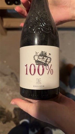 Rhônen laakso Côtes-du-rhône Xavier 100% 2019