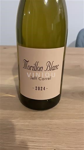 Languedoc in Roussillon Katalonske obale Jeff Carrel Morillon Blanc 2024