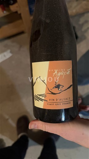 Wijnen Orange sec Pinot Gris Orange Domaine Agapé 2021 Frankrijk Elzas Vin de France