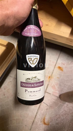 Burgundy Pommard Château Santenay Petit Clos 2010