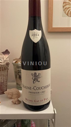 Bourgogne Premier Cru Michel Gay et Fils 2014