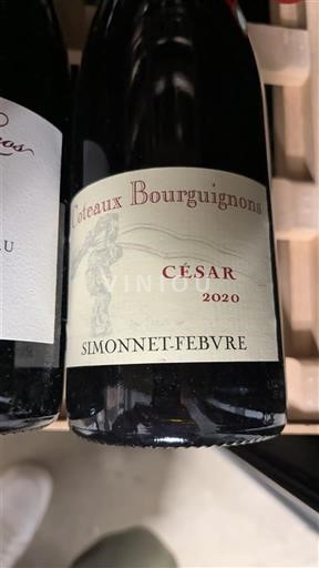 Borgogna Coteaux borgognoni Simonnet-Febvre César 2020