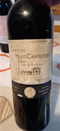 Bordeaux Blaye Côtes de Bordeaux Château Haut-Canteloup 2009