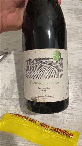Castela e Leão Ribera del Duero Dominio Del Soto 2019