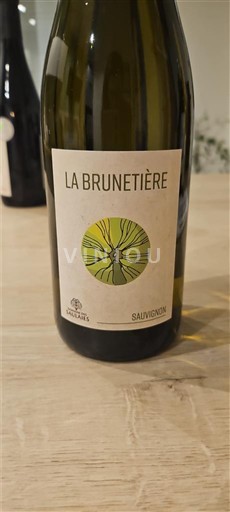 Valle del Loira Saumur Domaine Des Saulaies La Brunetière 2024