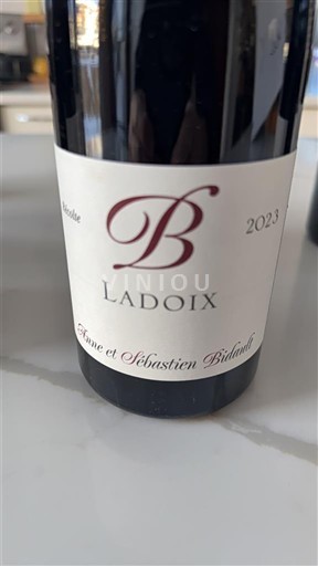 Viinit Rouge sec Etienne et Sébastien Bidault 2023 Ranska Burgundi Ladoix AOC