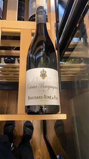Borgogna Coteaux borgognoni Bouchard Aîné & Fils Senza annata