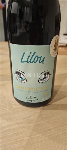 Víno Rouge sec Lilou Guillaume Poupineau 2021 Francie Údolí Loiry Bourgueil AOC