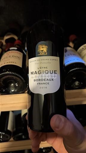 Bordeaux Maison du Grand Esprit L'Être Magique 2016