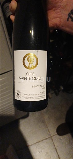 Alsace Clos Sainte Odile 2021