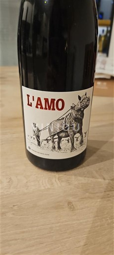 Roussillon Côtes-du-Roussillon Domaine Des Deux Puits L'Amo 2022