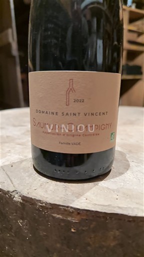 Loiretal Saumur-Champigny Domaine Saint Vincent 2022