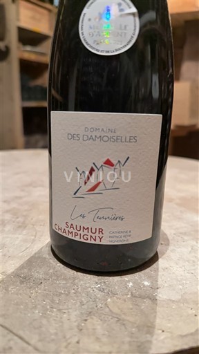 Loiren laakso Saumur-champigny Domaine S Damoiselles Les Tennieres 2022