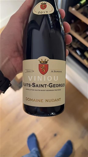 Burgundija Nuits-Saint-Georges Domaine Nudant 2017