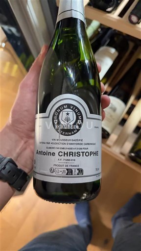 Burgundi Volnay Antoine Christophe Cordonum Vinium Ei vuosikertaa