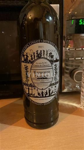 Valle del Loira No especificado Domaine S Champs-Lingot Kernerint' Sauvage 2021