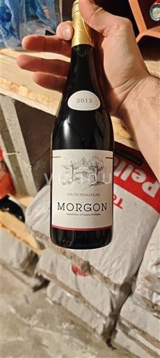Beaujolais Morgon Brienne 2013