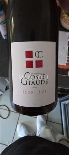 Rhônedalen Ospecificerad Domaine Coste Chaude Florilège 2018
