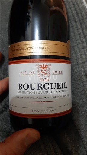 Valle della Loira Bourgueil Cave d'Augustin Florent 2020 2020