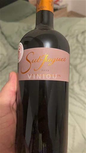 Bordeaux Saint-Émilion Grand Cru Grand Cru Subjuguer 2022