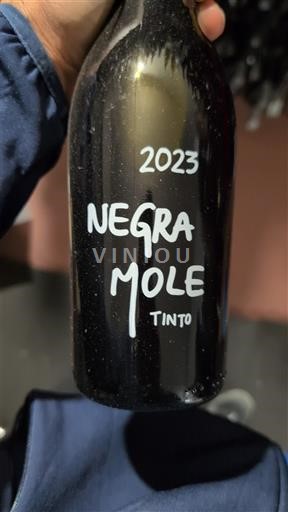 Algarve Arvad Negra Mole 2023