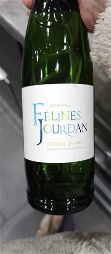 Languedoque Picpoul-de-Pinet Domaine Félines Jourdan 2024