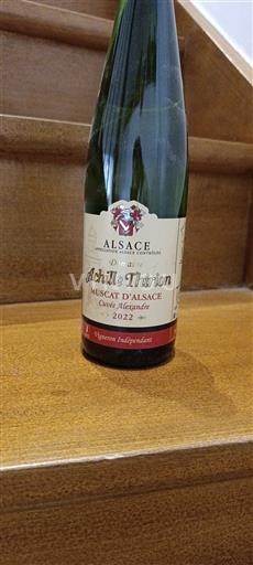 Alsace Muscat Achille Thirion Alexandre 2022