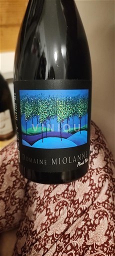 Dolina Loare Côtes d'Auvergne Domaine Miolanne Pinot Noir 2022