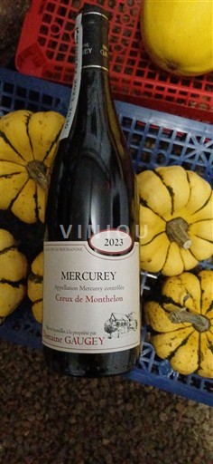 Burgundi Mercurey Domaine Gaugey Creux de Monthelon 2023