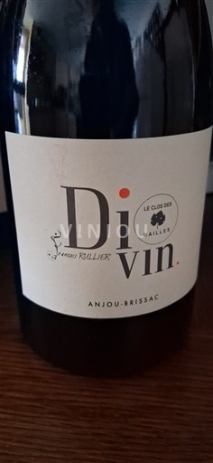 Loiredalen Ospecificerad Le Clos des Mailles Di Vin 2021