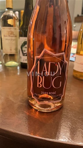 Ontario Penisola del Niagara Lady Bug 2023