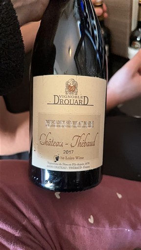 Valle del Loira Muscadet-sèvre-et-maine Vignobles Drouard Château-Thébaud 2017