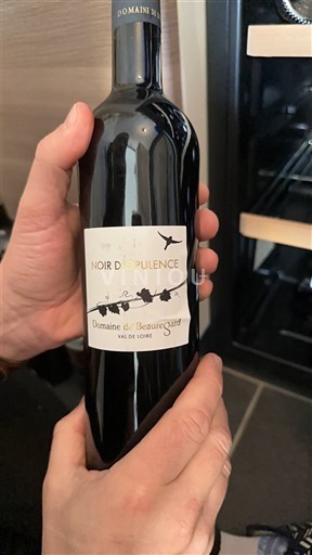Loire Valley Domaine Beauregard Noir d'Opulence 2018
