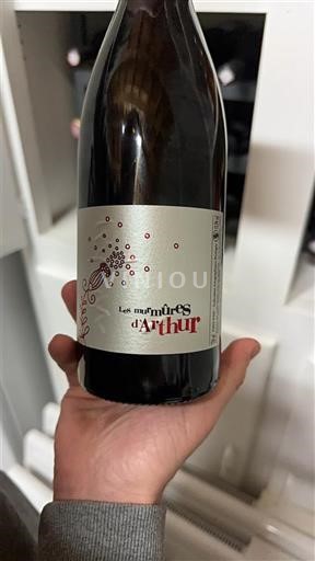 Beaujolais Les murmures d'Arthur Senza annata
