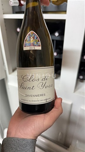 Dolina Loare Savennières Domaine S Baumard Clos de Saint Yves 2015