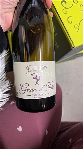 Loiren laakso Muscadet Famille Lebas Grain d'Folie Ei vuosikertaa