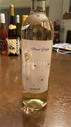 Valle del Loira L'Avenir Pinot Grigio 2025