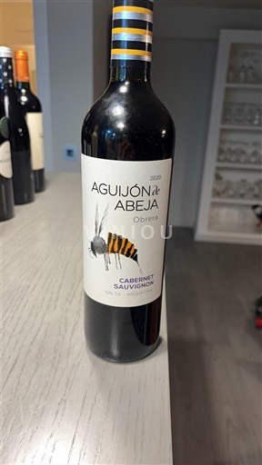 Salta Niet gespecificeerd Aguijón de Abeja Obrera 2020