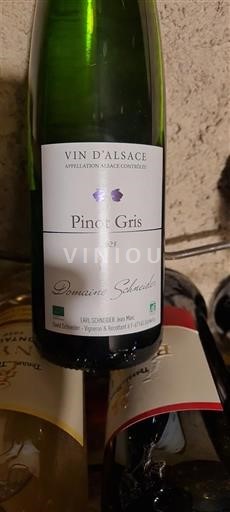 Elzas Pinot grigio Domaine Schneider 2023