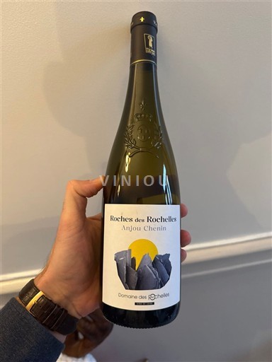 Valle del Loira Anjou Domaine S Rochelles Roches des Rochelles Anjou Chenin Sin añada