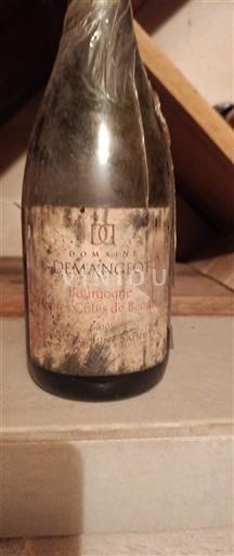 Borgogna Non specificato Domaine Mangeot Senza annata