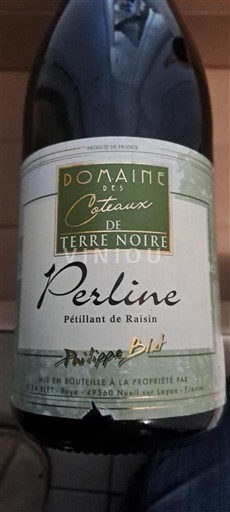 Valle del Loira Domaine S Coteaux de Terre Noire Perline Sin añada