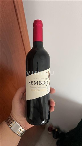 Castela e Leão Ribera del Duero Vega Demara Sembro Não Sazonado