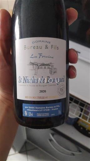 Valle del Loira Saint-Nicolas-De-Bourgueil Domaine Bureau & Fils La Forcine 2020