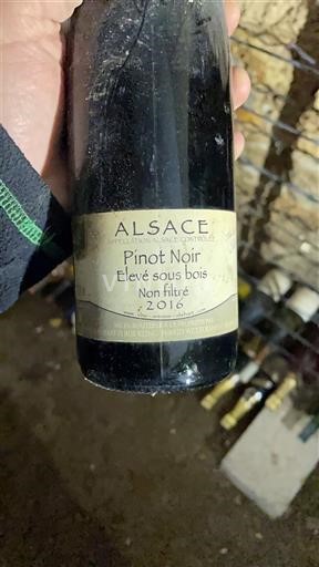 Alsace Les Bénédictins de Kingersheim Elevé sous bois Non filtré 2016